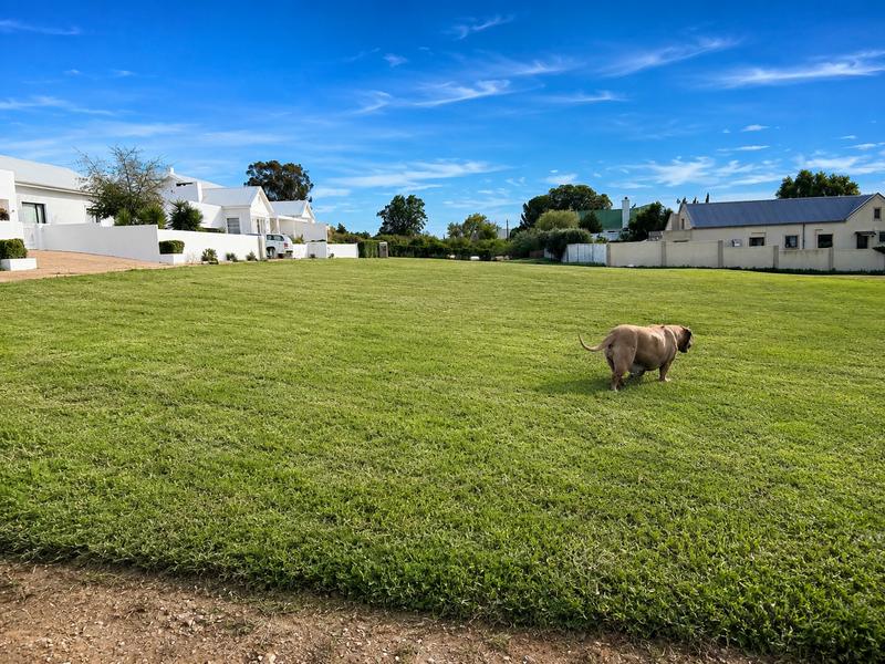 0 Bedroom Property for Sale in Riebeek Kasteel Western Cape